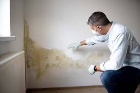 Best Basement Mold Removal in Cloverdale, VA